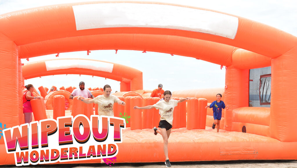 Wipeout Wonderland