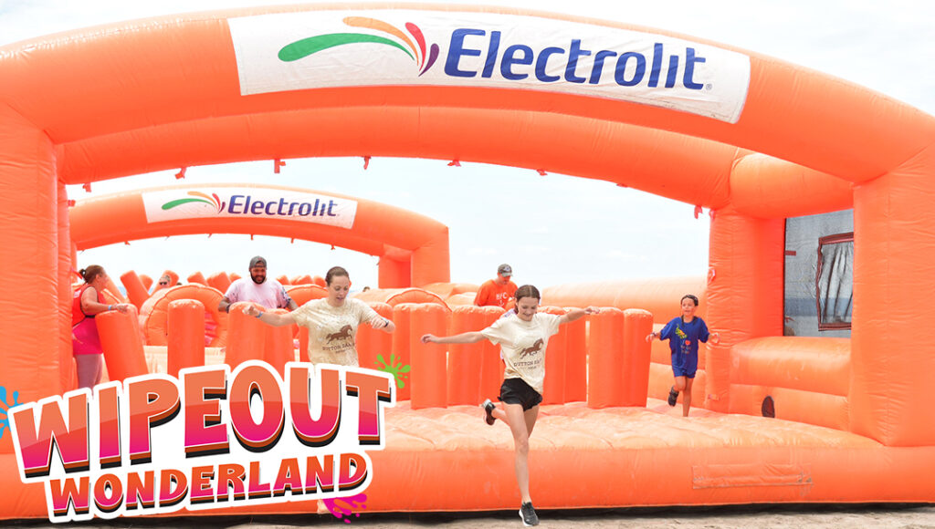 wipeout wonderland